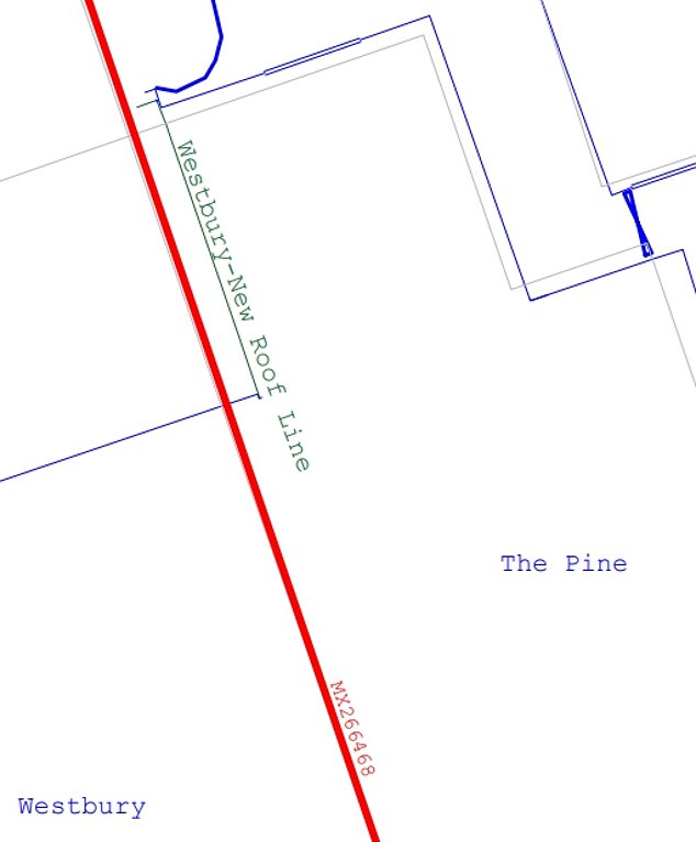 The red line shows the boundary between the two properties. The green line suggests Mr Dhunna's new roof line is hanging over onto Ms Grant's land