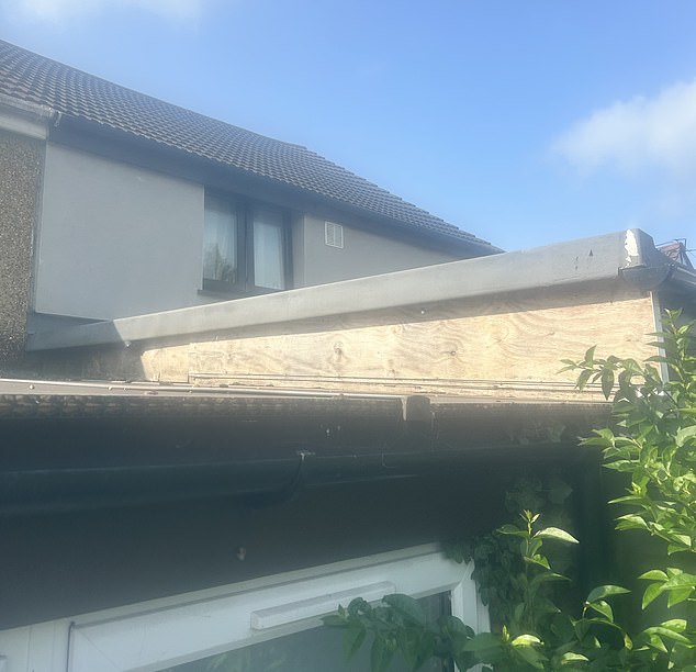 Pictured: The new wall which Ms Grant says hangs over onto her property