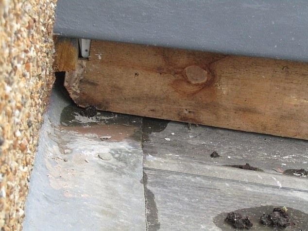The mother said the work was not completed properly, meaning water leaks into her conservatory