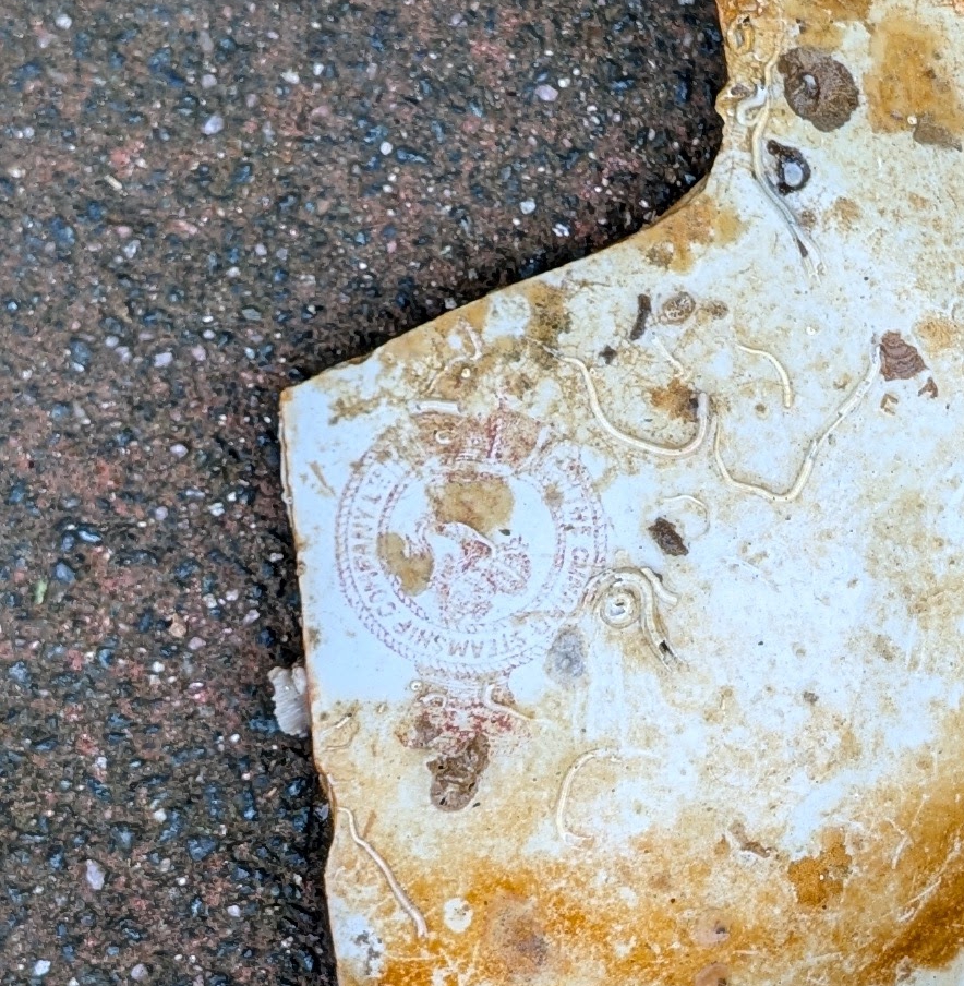 Fragment of a plate with the Cunard Steamship Company logo.