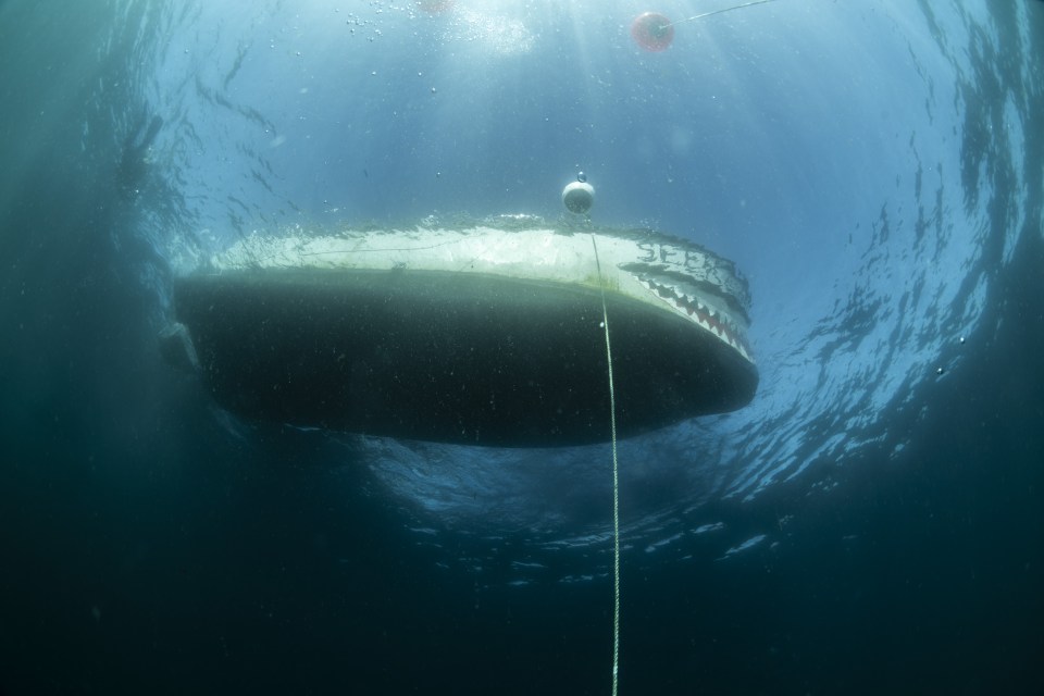 Underwater view of the SS Nantes shipwreck.