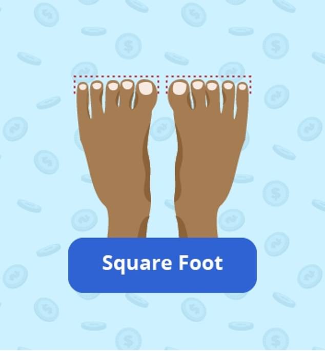 This foot is characterised by all five toes being of equal length, giving a broad, firm base