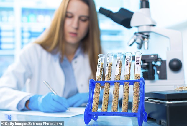 In one study, there was improvement in patients with schizophrenia and gluten-sensitive antibodies when following a gluten-free diet