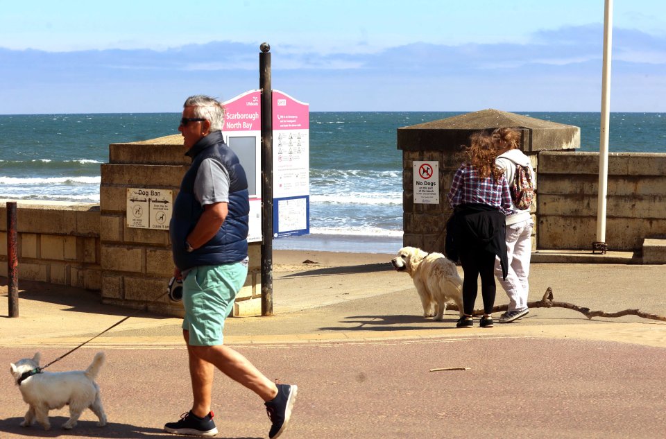 Man walking dog on Scarborough beach.