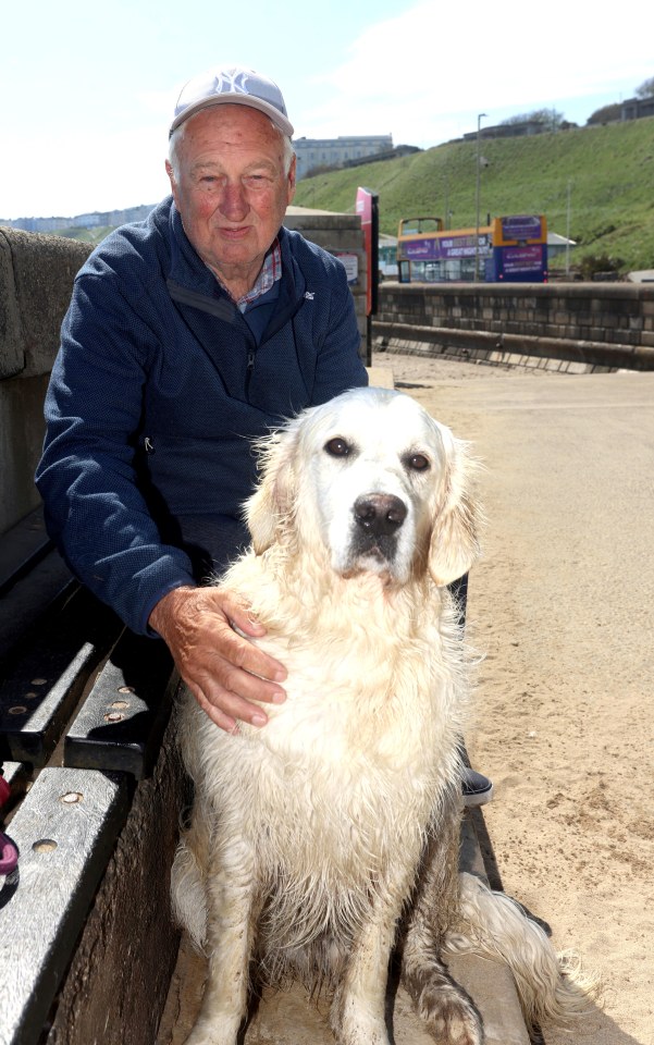 A man and his wet golden retriever dog sitting on a bench by the beach.