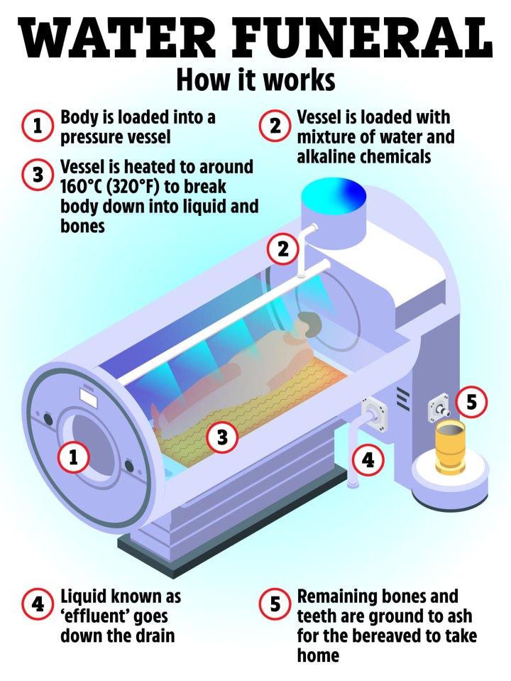 Illustration of water cremation process.