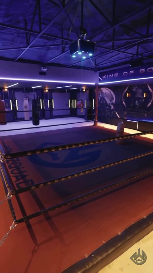 Boxing ring in a gym with purple lighting and punching bags.
