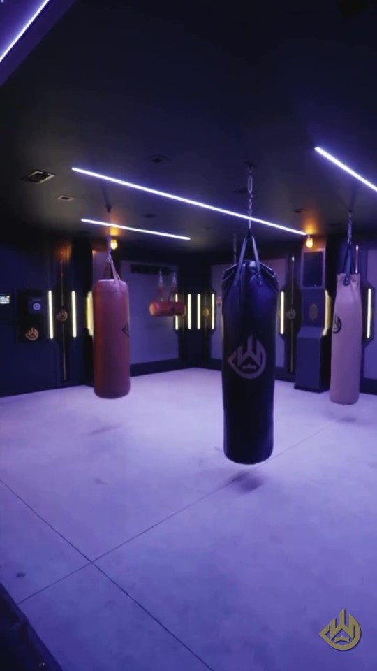Home gym with three hanging heavy bags.