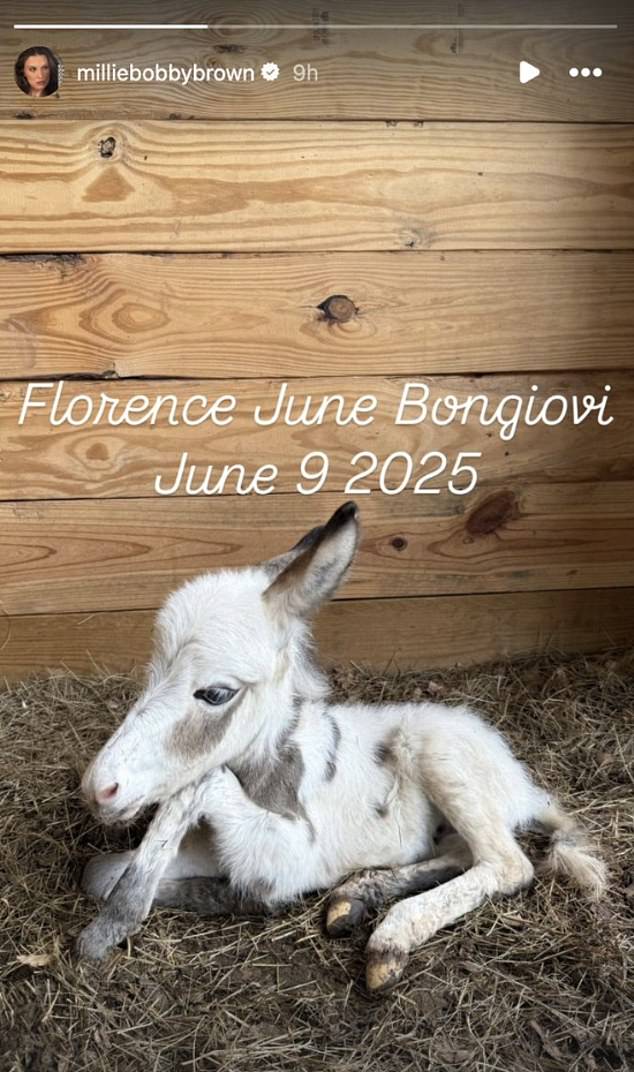 Lying on a bed of straw was an adorable baby donkey, which the Enola Holmes star revealed is named Florence June Bongiovi¿named after her great-grandmother, Florence¿and born on June 9, 2025