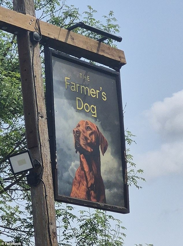 Bravely defending the price of her feast at The Farmer's Dog, the customer gushed about her culinary experience once she had made it into the packed pub