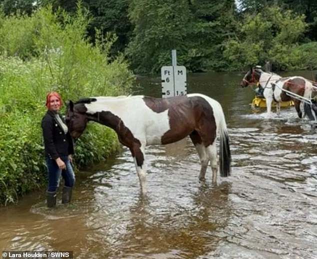 Ms Houlden, who works for a horse holiday business, said that you get animal welfare issues wherever you go