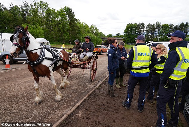 Members of the RSPCA welfare team during the Appleby Horse Fair in Cumbria on Sunday