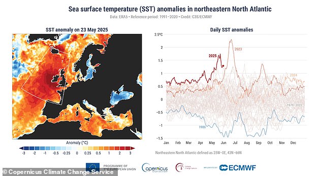 C3S also revealed that the global average sea surface temperature (SST) was 69.42°F (20.79°C) last month