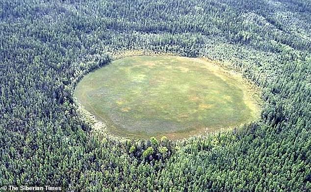 Asteroid 2024 YR4 is about the same size as the Tunguska asteroid, which caused the largest impact event in recorded history when it shot through Earth's atmosphere in 1908, flattening 830 square miles (2,150 square km) of forest (pictured)