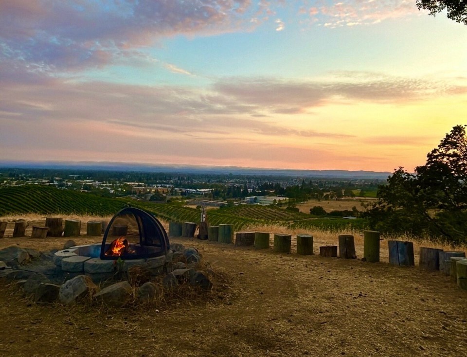 Sunset view of a fire pit in a vineyard.