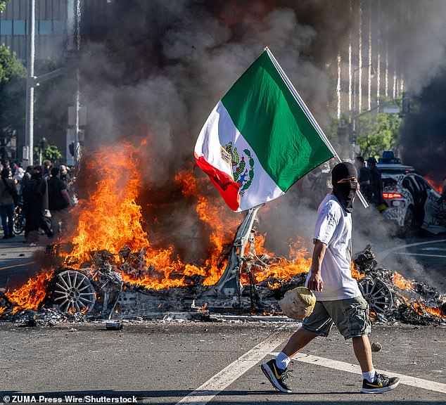 Donald Trump told army soldiers at Fort Bragg yesterday that Los Angeles has been invaded by 'animals burning the American flag'