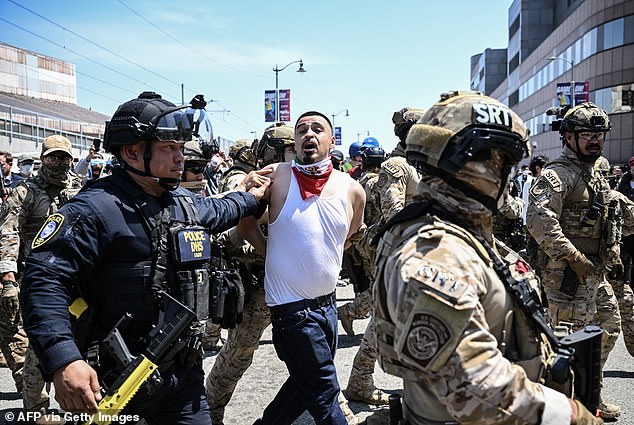 Law enforcement officers, including members of the Immigration and Customs Enforcement (ICE) Special Response Team and Homeland Security agents, arrest a demonstrator