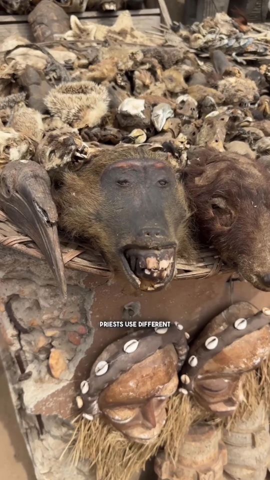 Pile of animal remains and carved masks at a voodoo market in Ouidah, Benin.