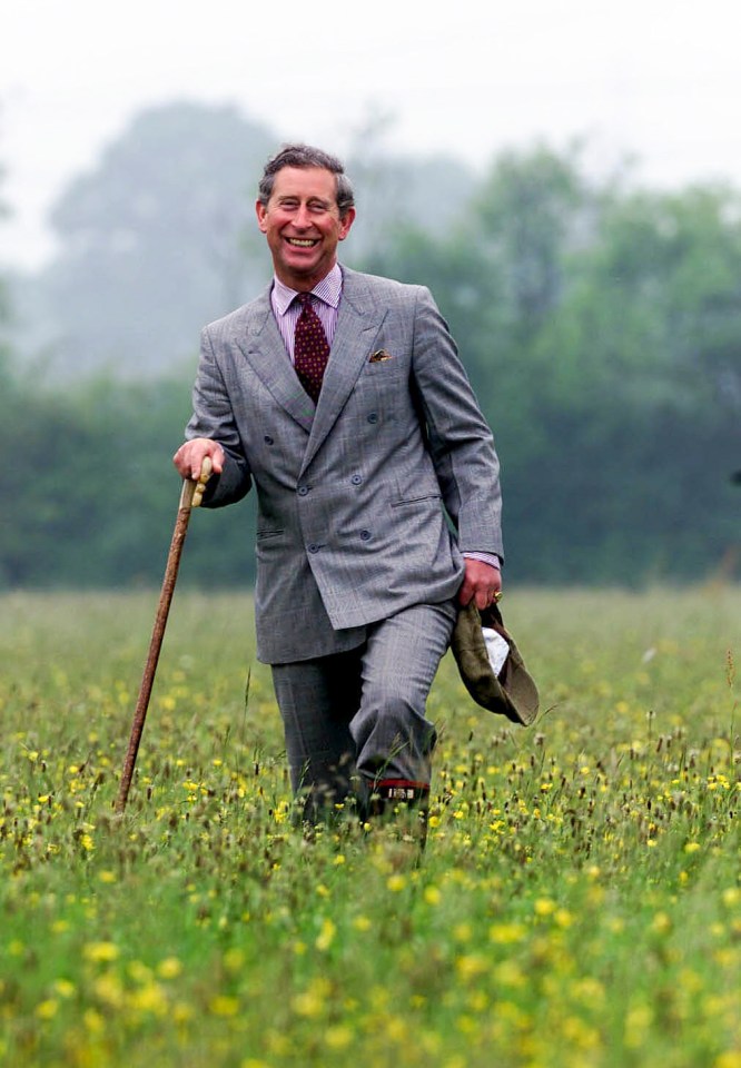 Prince Charles walking through a wildflower meadow.