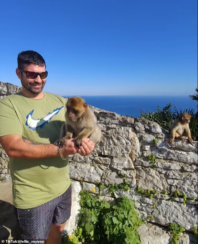 He and a friend enjoyed spending time with the wild monkeys up the Rock - Gibraltar's iconic mountain and landmark