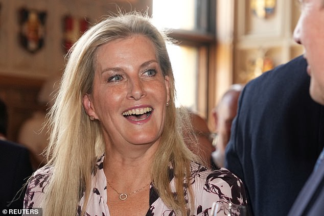 Sophie beamed as she chatted with those in attendance this evening, opting to wear her blonde locks down