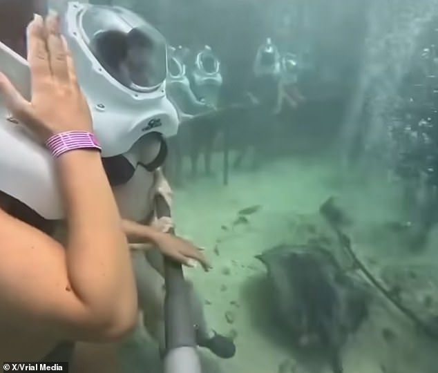 The adventurers were seen holding onto a railing as a stingray swam around them on the seabed