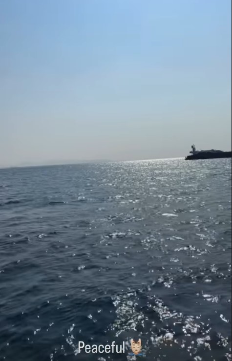 Peaceful ocean scene with a distant structure.