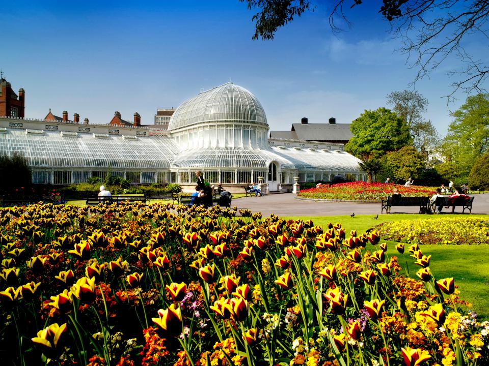 Botanic gardens greenhouse with spring flowers.