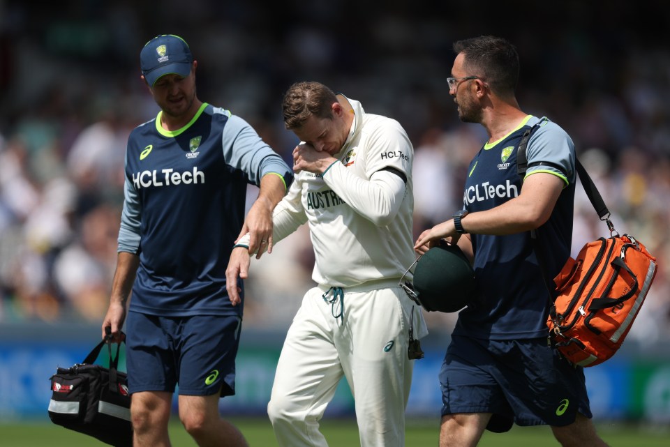 Steve Smith of Australia being assisted from the field after a finger injury.