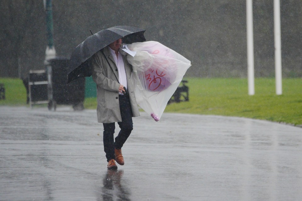 Person walking in heavy rain with an umbrella and a balloon in a plastic bag.
