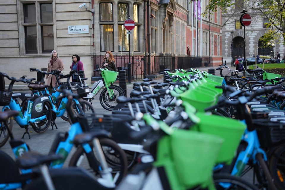 Numerous Lime and Forest e-bikes parked on a city pavement.