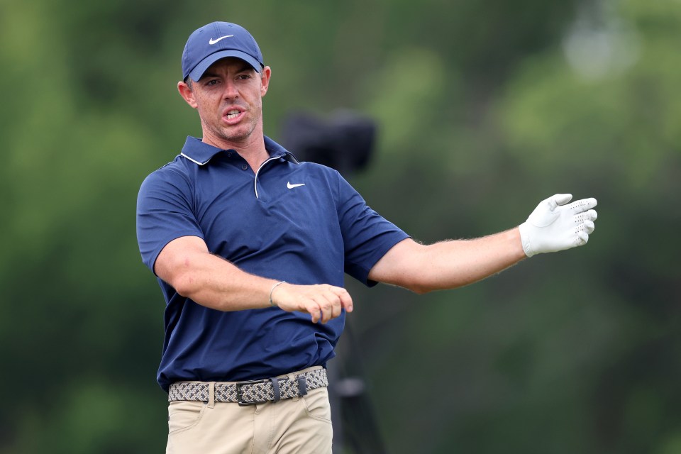 Rory McIlroy reacting to a golf shot.