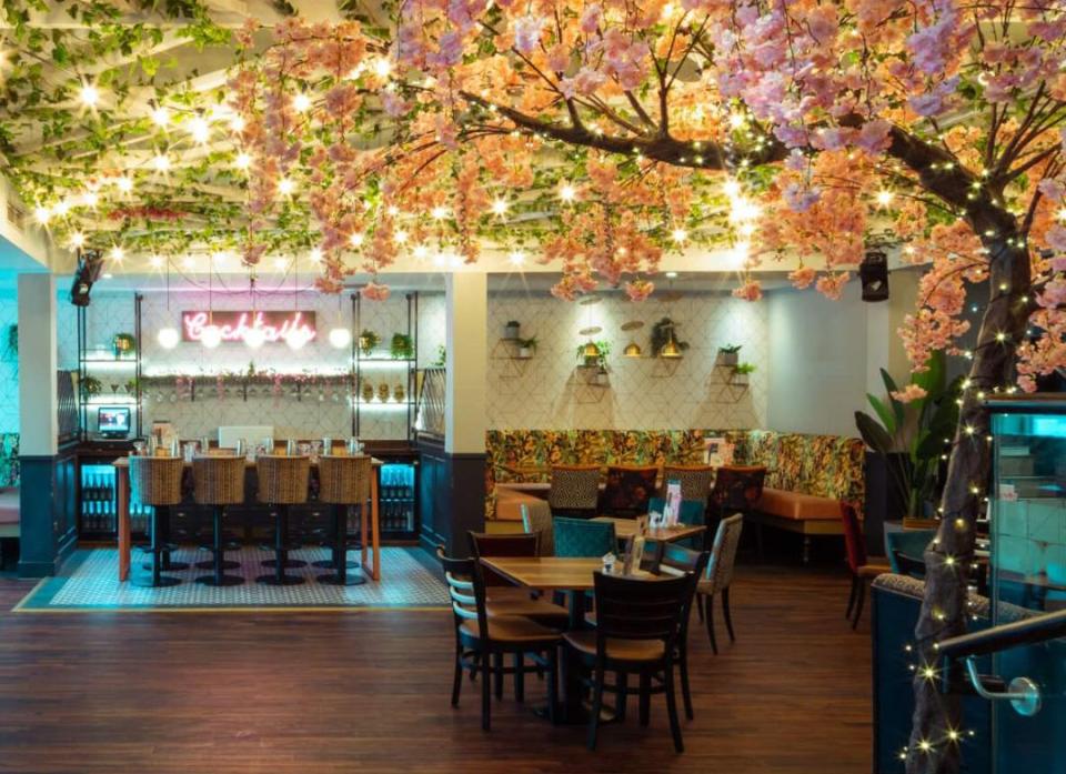 Interior view of the Slug and Lettuce in Cornwall.