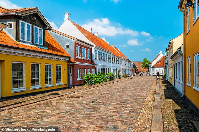 Colourful houses line a cobblestone street in Odense, Denmark