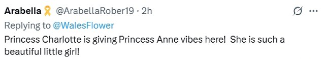 Royal fans rushed to social media to share their praise of Princess Anne following her accident