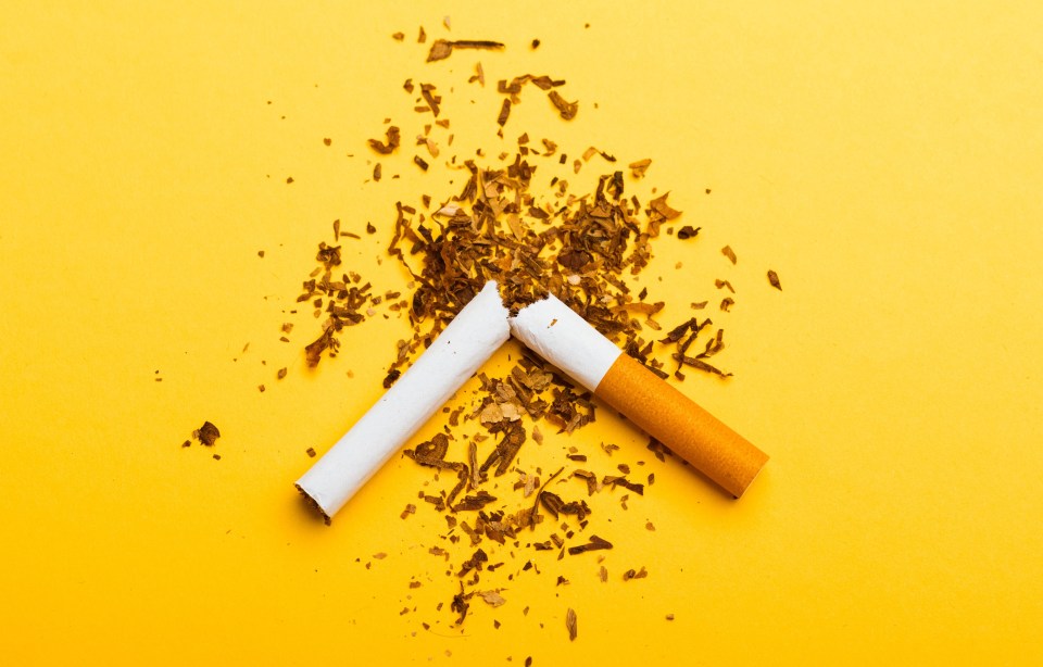 31 May of World No Tobacco Day, no smoking, close up of broken pile cigarette or tobacco STOP symbolic on yellow background with copy space, and Warning lung health concept; Shutterstock ID 2138136541; purchase_order: -; job: -; client: -; other: -