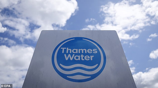 Creditors have said that Thames could be looking at more than £1billion in further pollution and environmental failings. (file image)