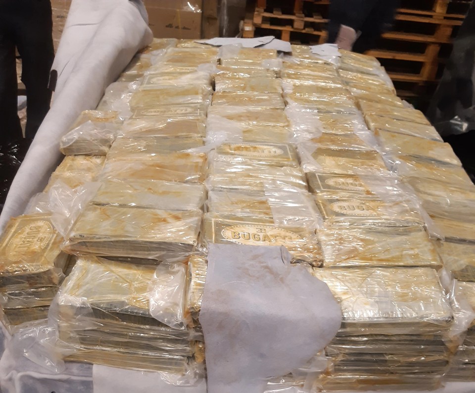 Seized blocks of suspected contraband wrapped in plastic.