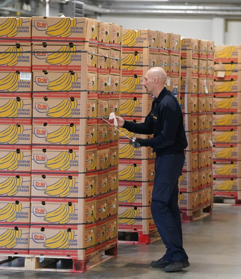A worker inspecting pallets of Dole bananas.
