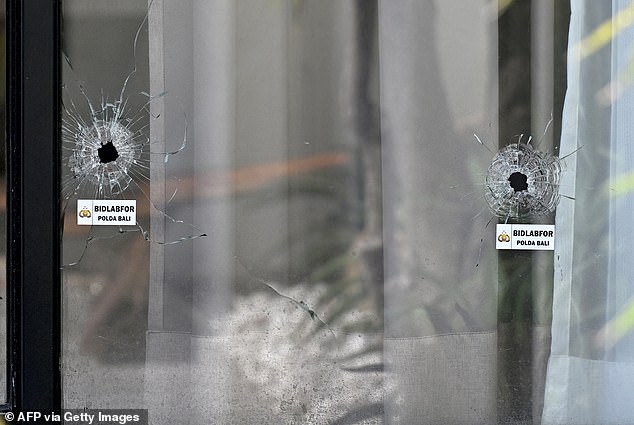 Bullet holes can be seen in the glass door of the villa where the horrific shooting took place (pictured)