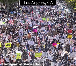 The crowd at a liberal-led Los Angeles protest