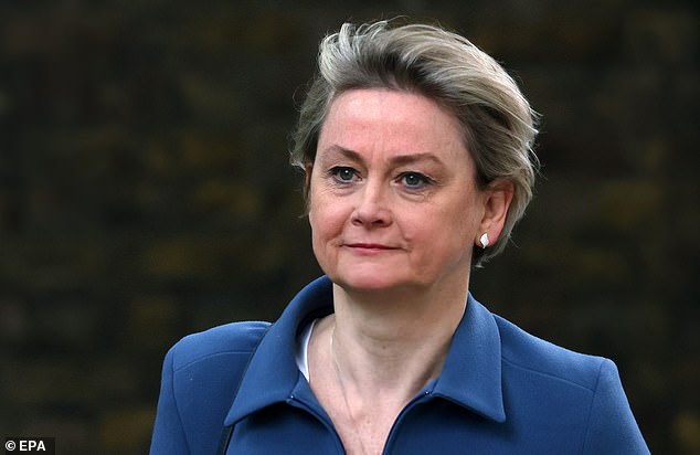 Home Secretary Yvette Cooper (pictured) said the elite agency would lead 'a major nationwide operation to track down more perpetrators'
