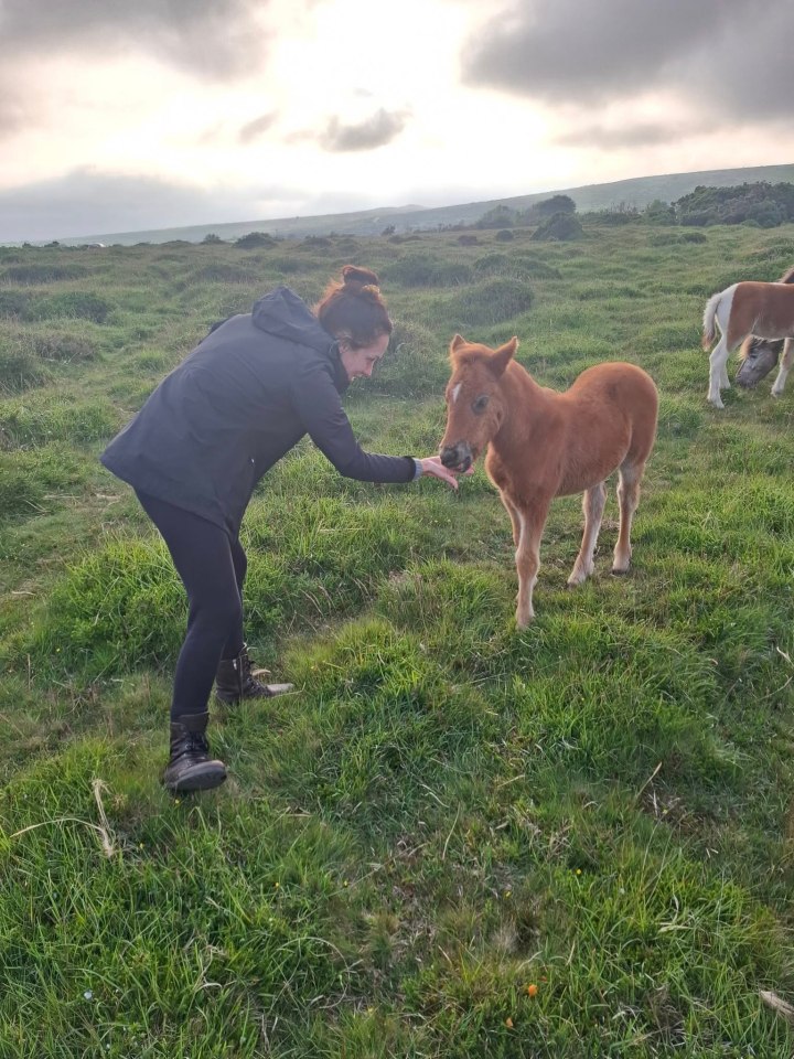 Woman petting a miniature horse in a field.