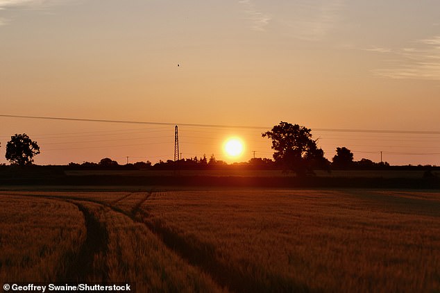 The sun rises over farmers' fields in the Oxfordshire village of Dunsden this morning