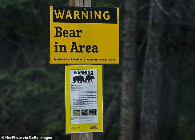 Stickers warn of a 'Bear in Area' in Kananaskis in May