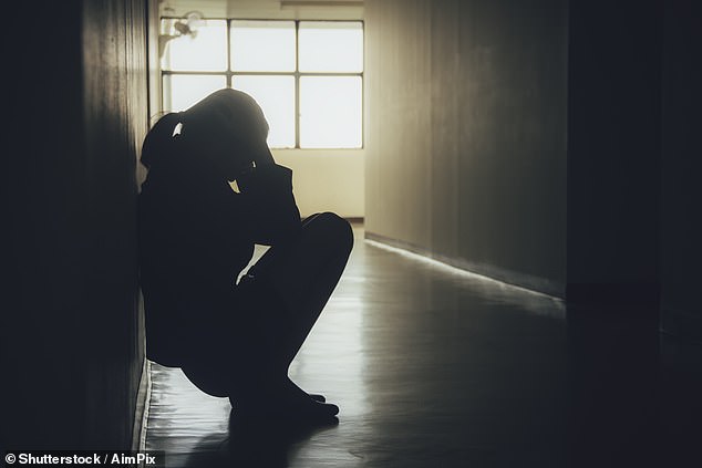 Lady Casey found social workers were unwilling to place children on protection plans for sexual abuse