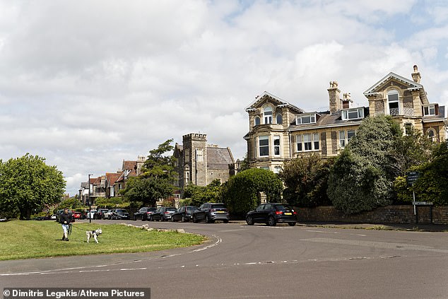 Residents in Bristol have previously spoke of suspected thefts, drug use and intimidation (Pictured: homes surrounding the area)