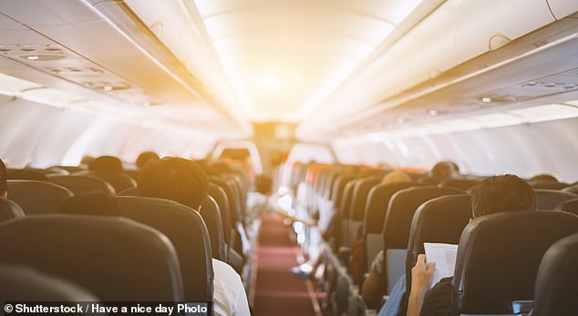 Tony Cullen, who was a former international authority on aircraft accidents based out of the UK, spent decades investigating how deaths happen in plane crashes in a bid to improve safety in the skies