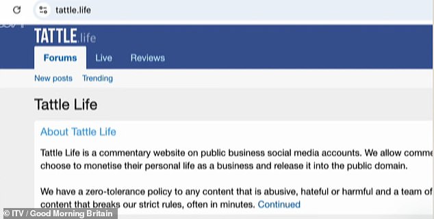 The site, which attracts 12 million visitors a month, is supposedly aimed at exposing disingenuous influencers, but it quickly became a paradise for trolls to hurl abuse at them