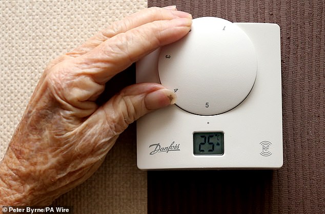 Uncertainty: In the past ten days, hundreds of readers have contacted Money Mail asking whether they will be a winter fuel payment winner or loser